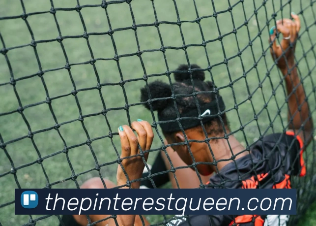 世界杯买输赢网站平台生态图